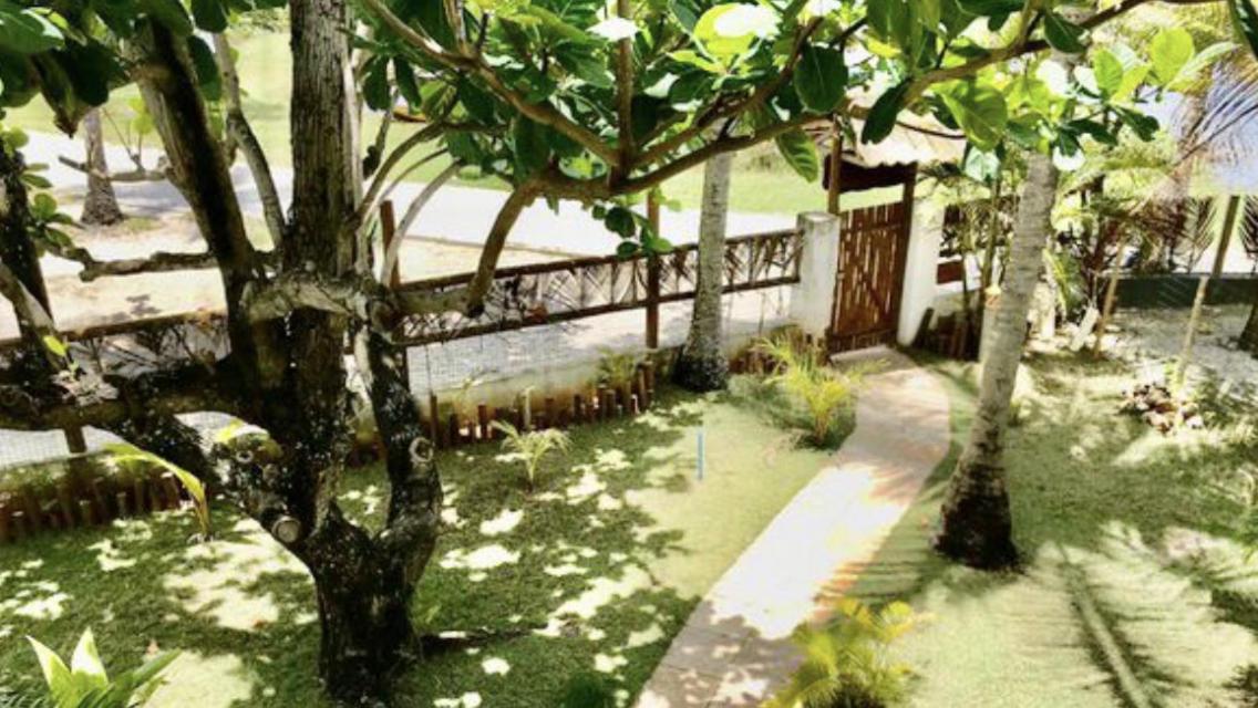Paradise Beach House Imbassai Bagian luar foto